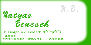 matyas benesch business card